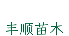 Shanghai Huadong Electronics Group Yueqing Electric Co., Ltd.